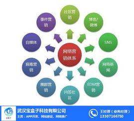 漢陽網(wǎng)絡(luò)推廣全攻略 武漢寶盒子科技的專業(yè)服務(wù)解析