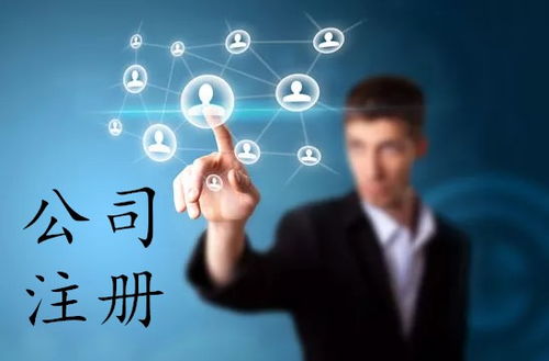 上海軟件公司注冊全攻略 流程、費用與網(wǎng)絡(luò)技術(shù)服務(wù)指南